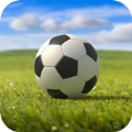Nurex Soccer足球英雄杯体育竞技小游戏v1.2