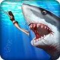 愤怒的鲨鱼猎人手机版最新版 v1.10