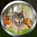 森林狩猎大师中文手机版（Jungle Animals Hunting Real Shooting Game） v1.2